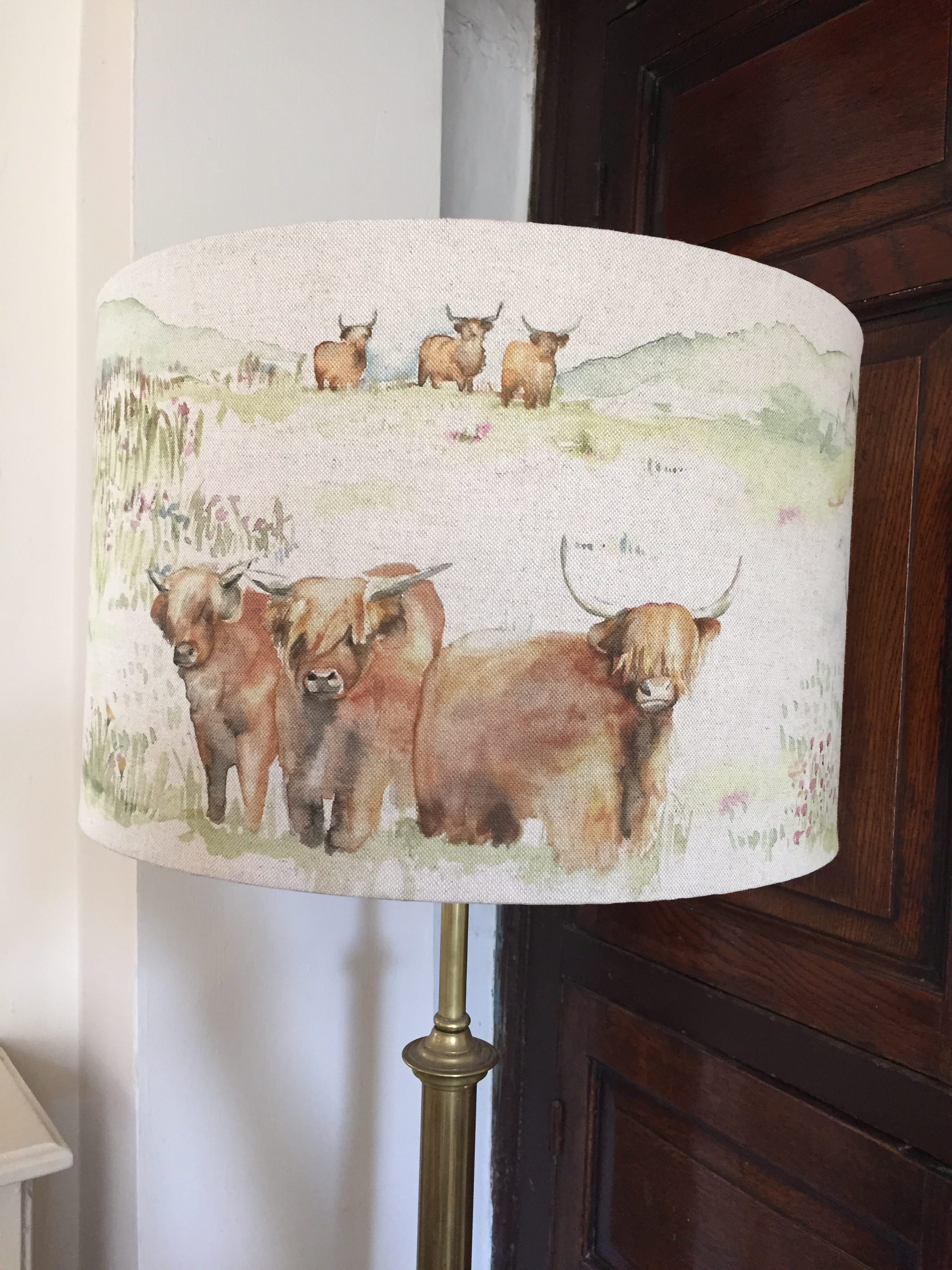 Highland Cattle