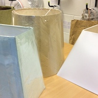 lampshade shape cat TN